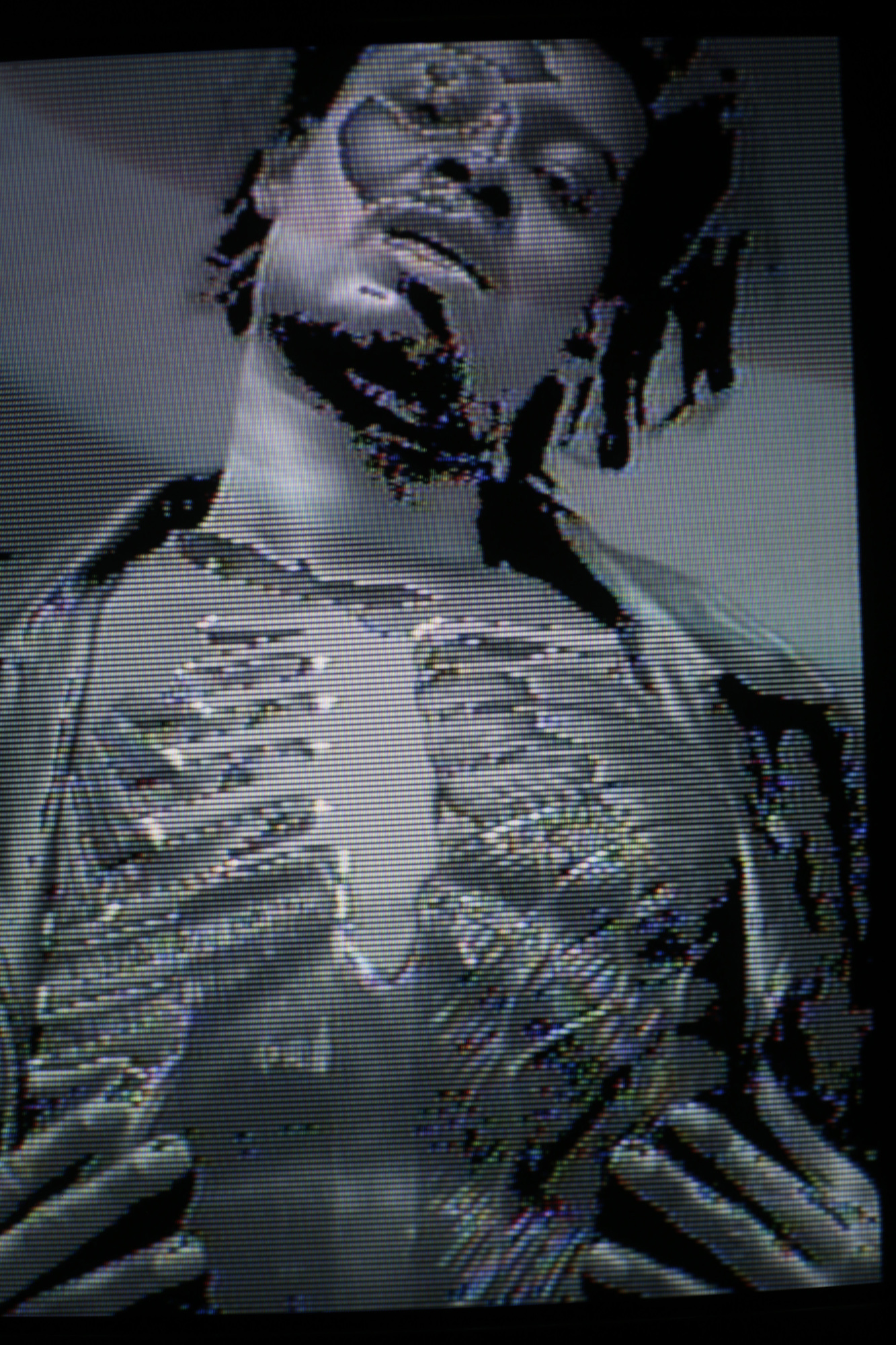 Danny Brown Atrocity Exhibition Timothy Saccenti   Dannybrown Glitch B MG 8857 